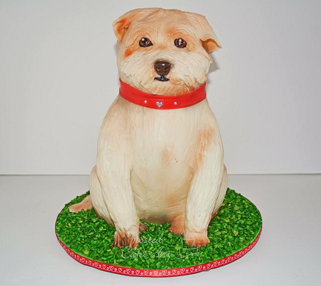 3D sculpted dog cake! - Decorated Cake by Seema Acharya - CakesDecor