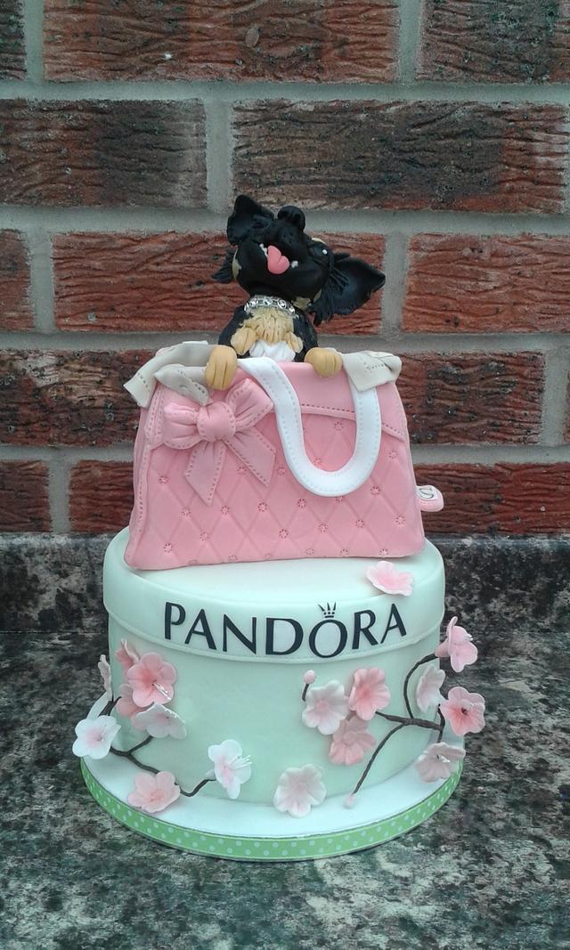 Pampered Pooch Pandora cake