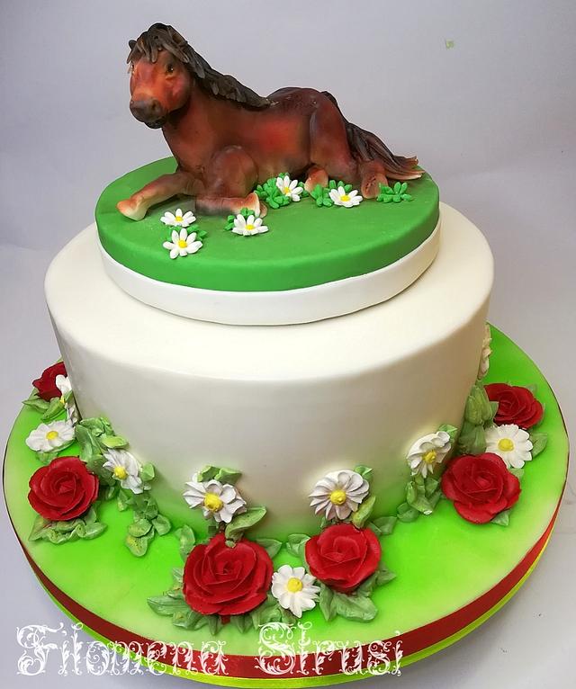 Horse cake - Decorated Cake by Filomena - CakesDecor