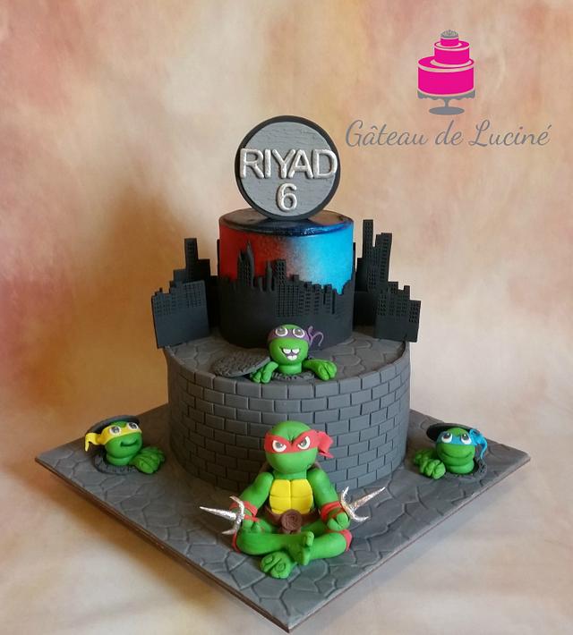 Ninja Turtles Cake By Gateau De Lucine Cakesdecor