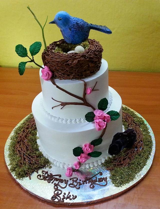 Blue Monarch in Cream - Decorated Cake by Michelle's - CakesDecor