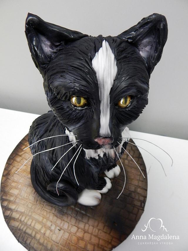 black cat - Decorated Cake by crazycakes - CakesDecor