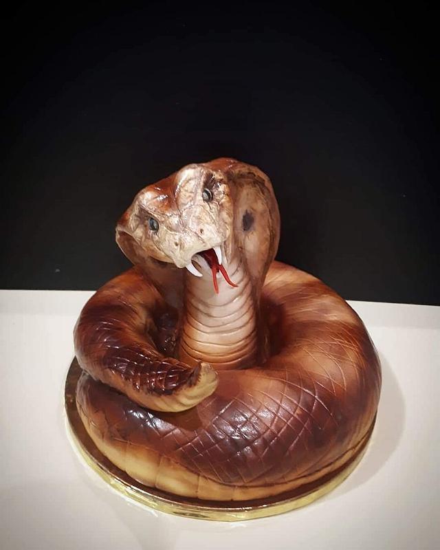 Snake Cake Decorated Cake by Mare CakesDecor