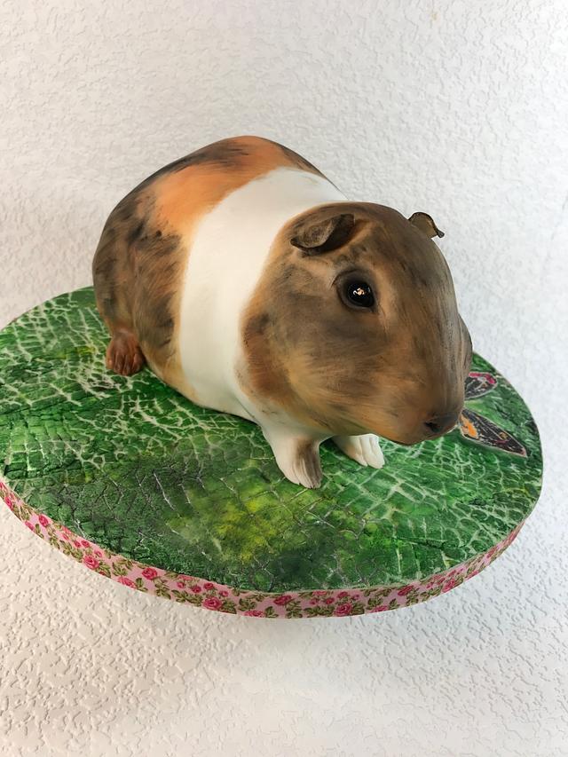 Guinea pig cake - Cake by Andrea - CakesDecor