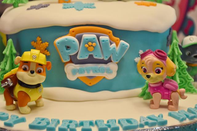 Paw Patrol Cake featuring Everest!  