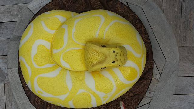 Snake cake - Cake by carla15 - CakesDecor