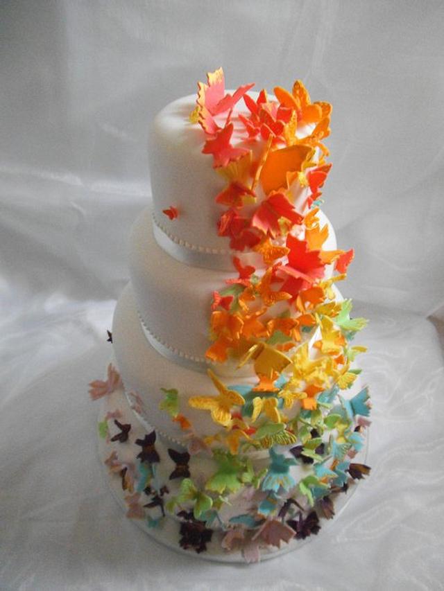 Rainbow Butterfly Wedding Cake - cake by MÃ´n Cottage - CakesDecor