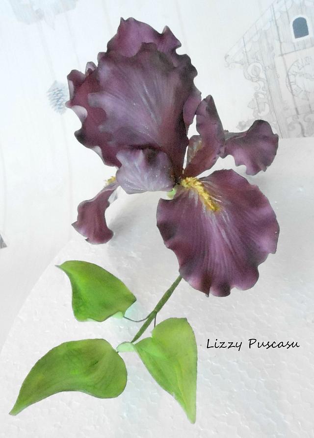 sugar iris Decorated Cake by lizzy puscasu CakesDecor