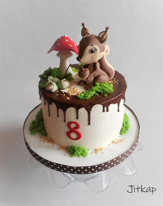 Squirrel eating a cake