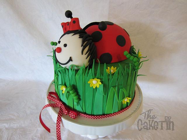 Ladybird Cake - Cake by The Cake Tin - CakesDecor