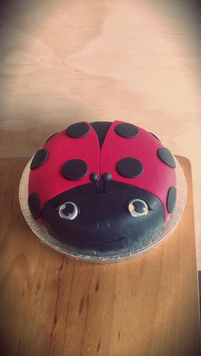 Lady bug cake - Cake by Rebecca - CakesDecor