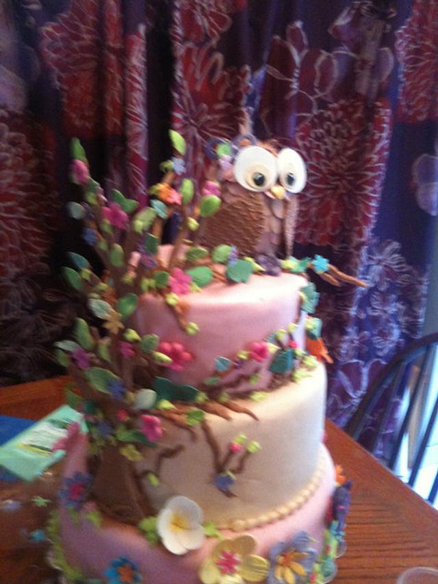 baby shower owl cake