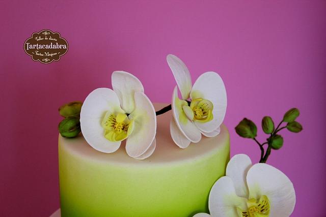 Spring Wedding Cake with moth orchids
