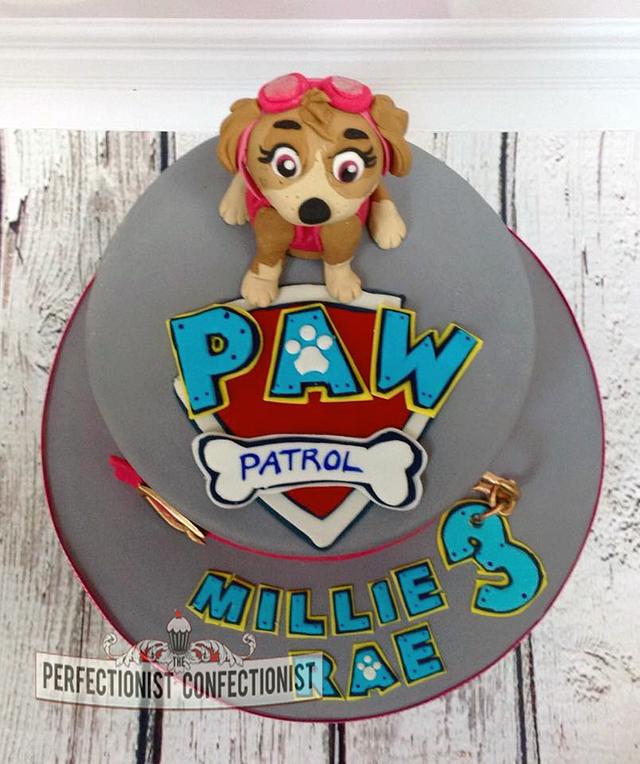 Skye - Paw Patrol Puppy cake - Decorated Cake by Niamh - CakesDecor