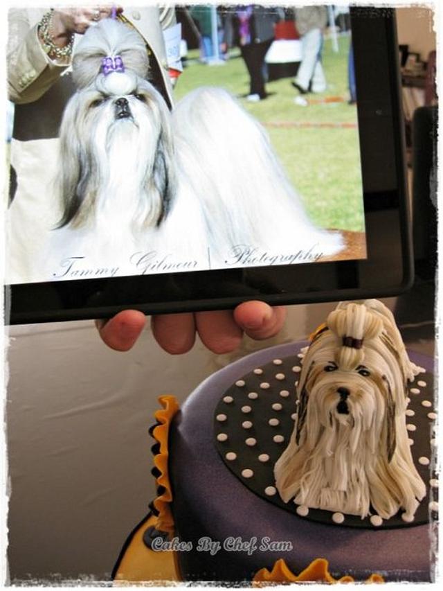Best dog in Show! Cake by chefsam CakesDecor