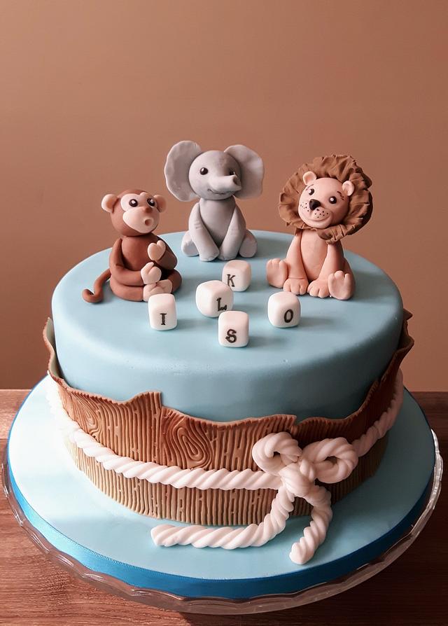 Lion Cake Pictures