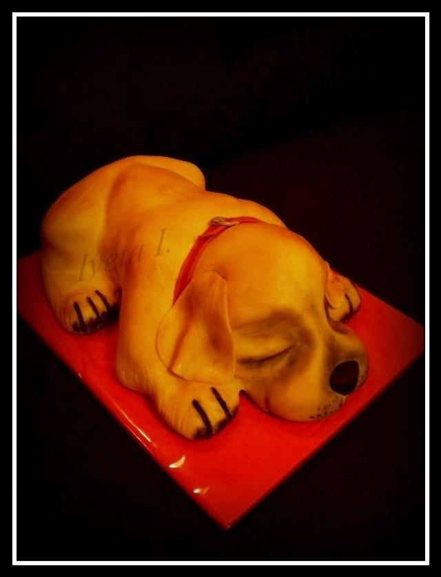 cake dog Cake by Ivule CakesDecor