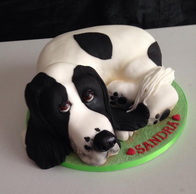 Charlie the Cocker Spaniel - Decorated Cake by Caron - CakesDecor