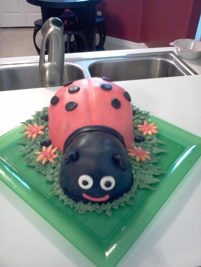 Ladybug cake - Decorated Cake by maribel - CakesDecor