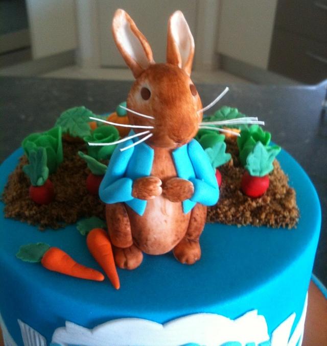 Hudson's Peter Rabbit Cake - Cake by Gen - CakesDecor