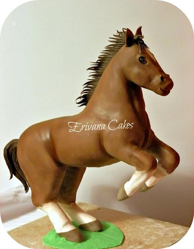 Coolest Horse and Pony Birthday Cake