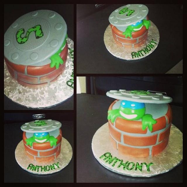 Ninja Turtle Cake - cake by Joyce Marcellus - CakesDecor