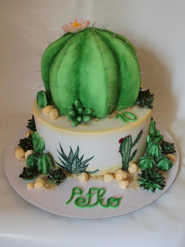 Hand painted succulent cake with 3D cactus. A smaller version of my  original one & I still love it! #simplysweetdessertsbylara… | Instagram