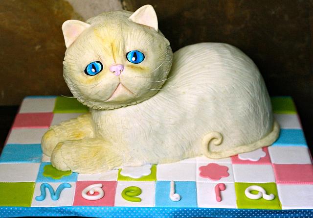 Cat Cake 3D - Decorated Cake by Vanessa Rodríguez - CakesDecor