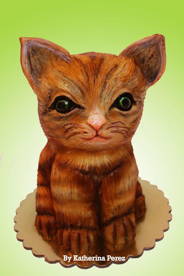 MISSY CAT 3D cake  cake  by Super Fun Cakes  More 