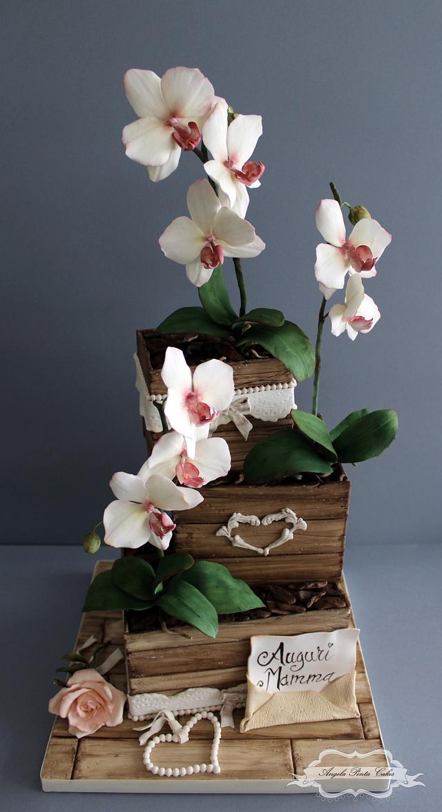 Orchids for my Mum!