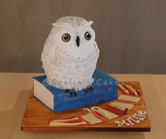 Hedwig Owl sculpted cake Cake by Leslie Grant CakesDecor