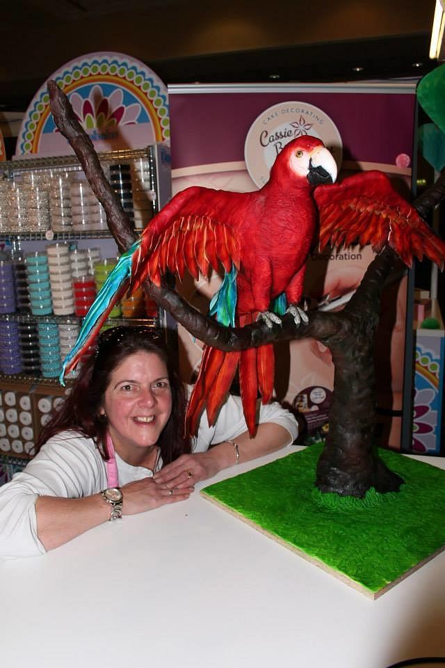 macaw cake