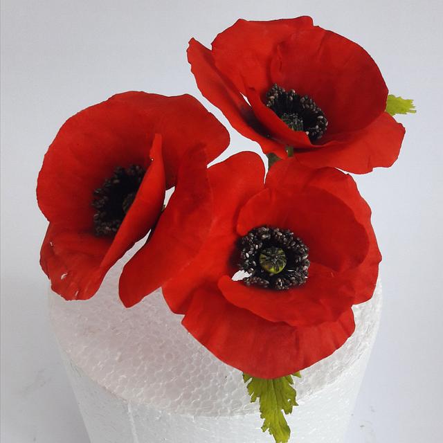 Poppies cake - Cake by Mariya Gechekova - CakesDecor