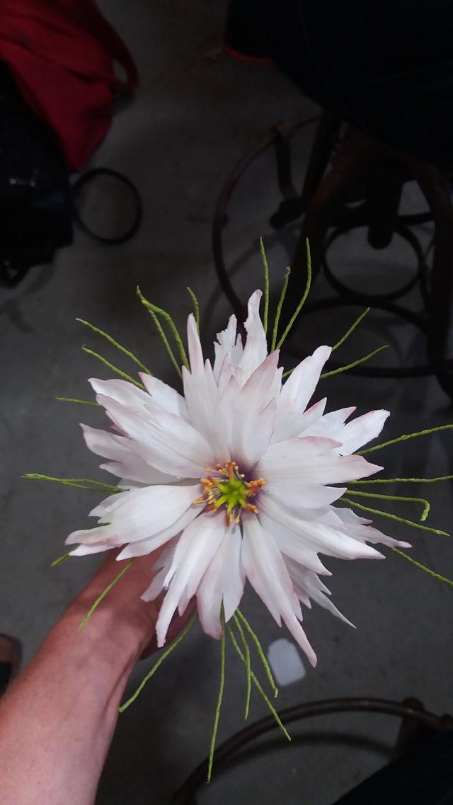 Nigella Decorated Cake by Petra CakesDecor