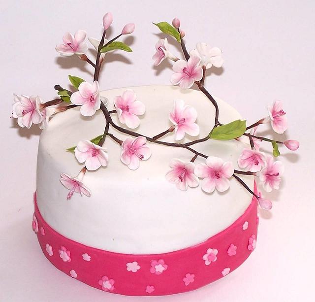 Cherry Blossom Spring Cake - Decorated Cake by - CakesDecor