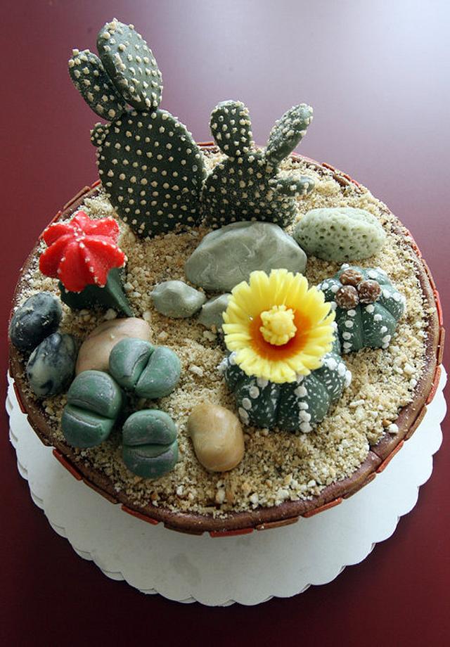 Pot with cactus