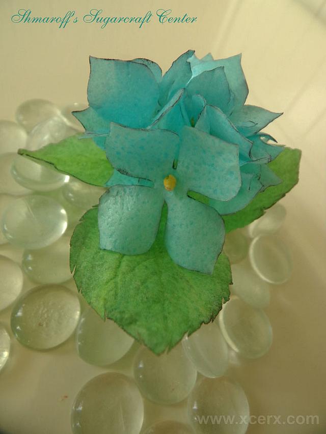 Wafer Paper Hydrangea Cake by Petya Shmarova CakesDecor