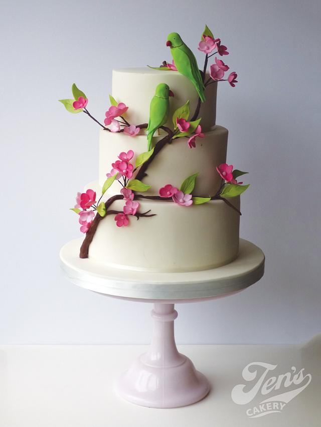 Isabella Decorated Cake by Jen's Cakery CakesDecor