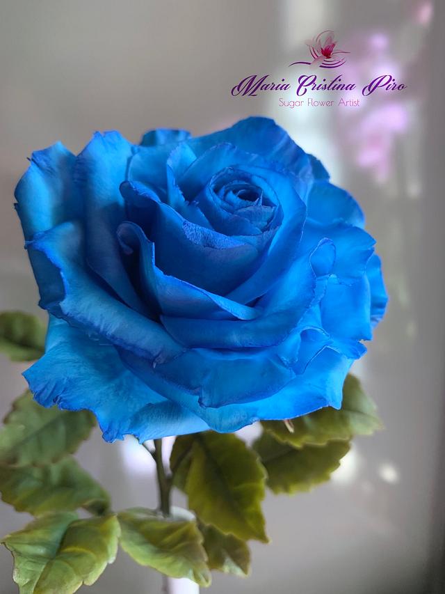 Blue rose... - Decorated Cake by Piro Maria Cristina - CakesDecor