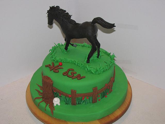 All the Best Horse Cakes  Pony Cakes for Equestrian Fans  Cake Geek  Magazine