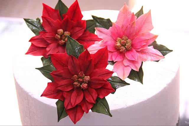 Poinsettias Love - Decorated Cake by Signature Cake By - CakesDecor