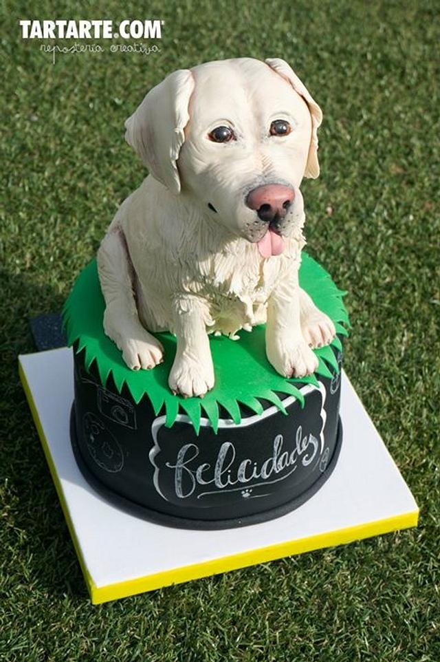 Golden Retriever Cake - Cake by TARTARTE - CakesDecor