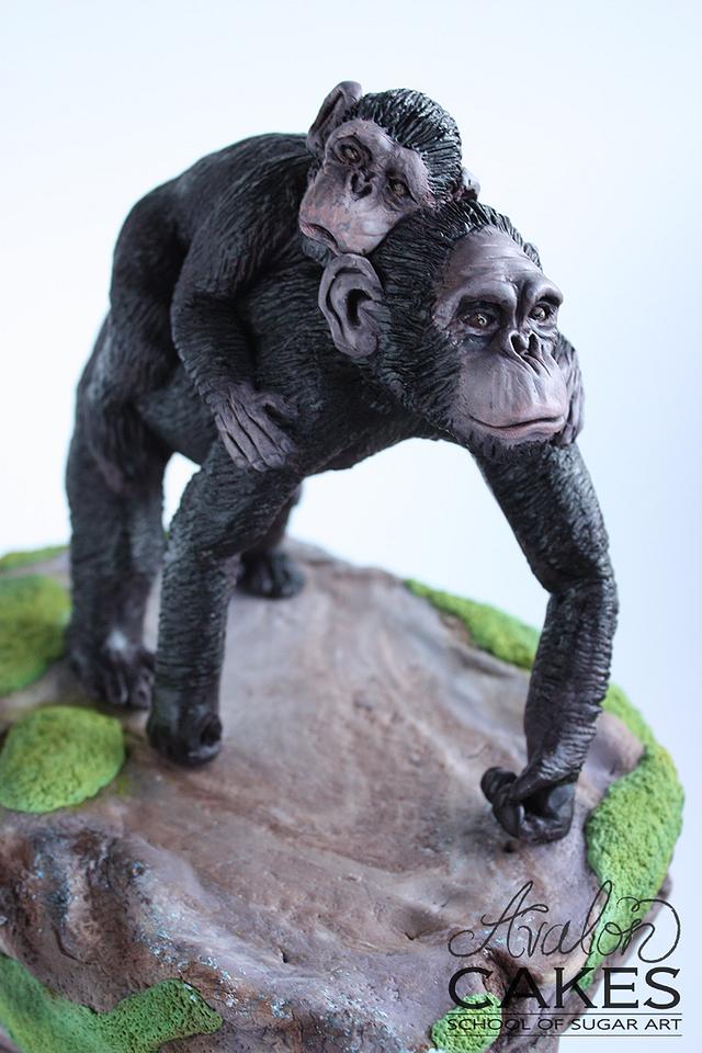 Bonobo Apes Mama and Baby Decorated Cake by Avalon CakesDecor