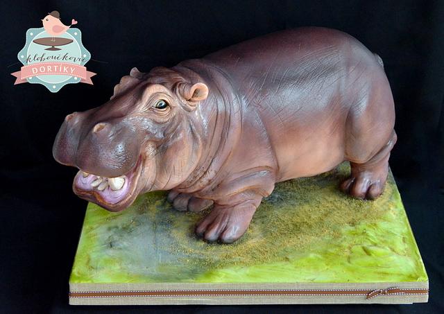 Hippo cake 
