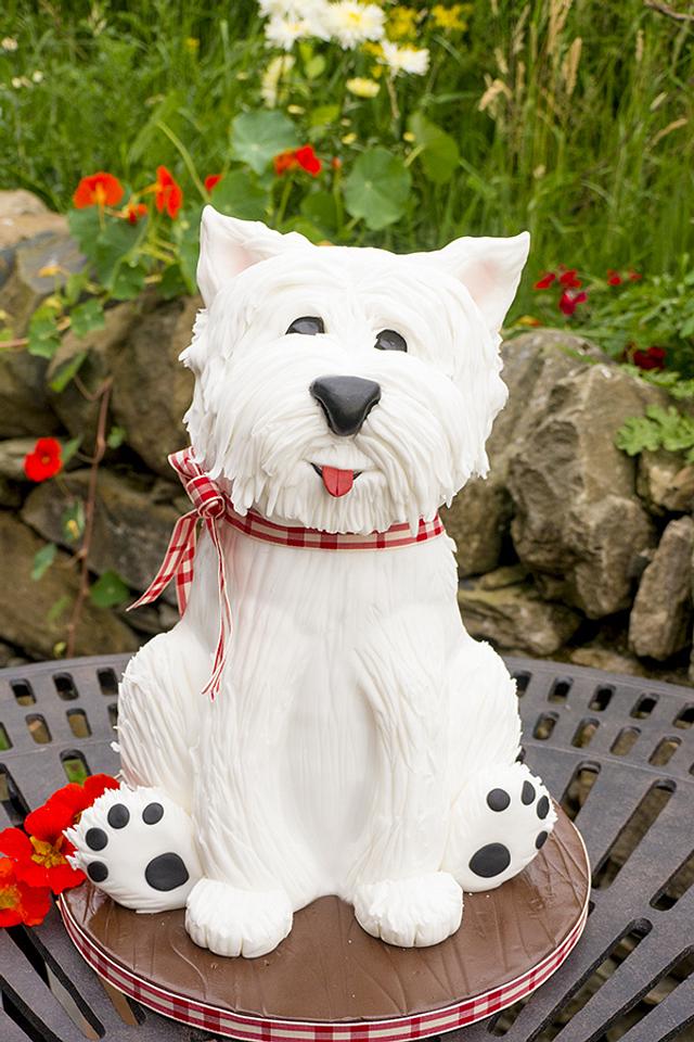 West Highland Terrier Dog