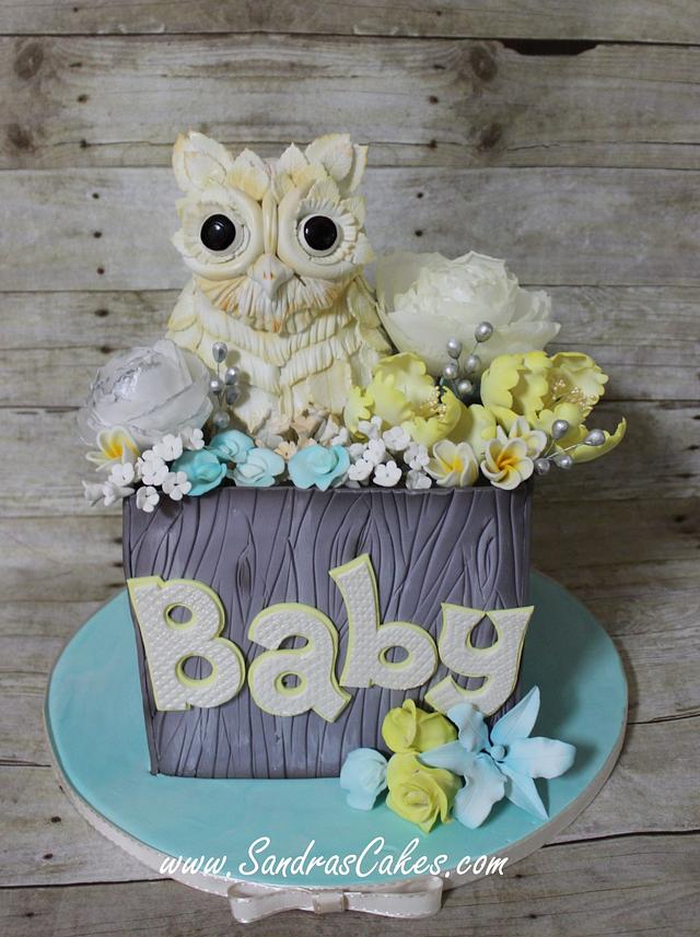 Rustic Owl Themed Baby Shower Cake By Sandrascakes