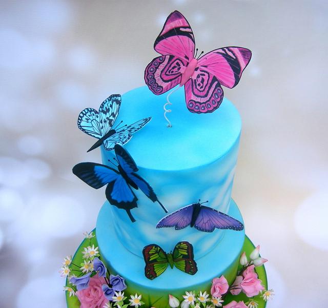 Miss Ellie's butterfly birthday cake