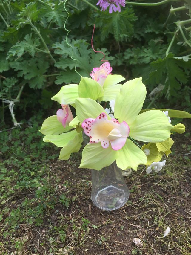  cymbidium orchid flower