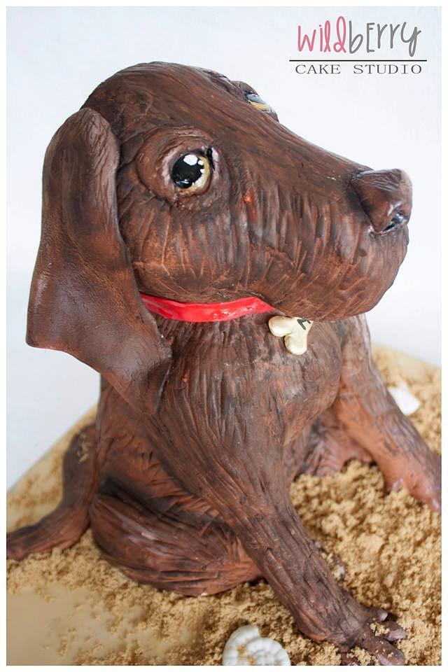 Chocolate lab Cake - Cake by Wildberry Cake Studio - CakesDecor