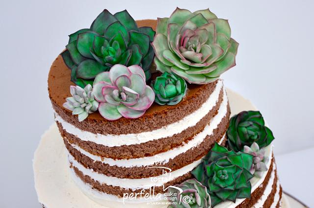Succulent Naked Cake Cake By La Torta Perfetta Cakesdecor